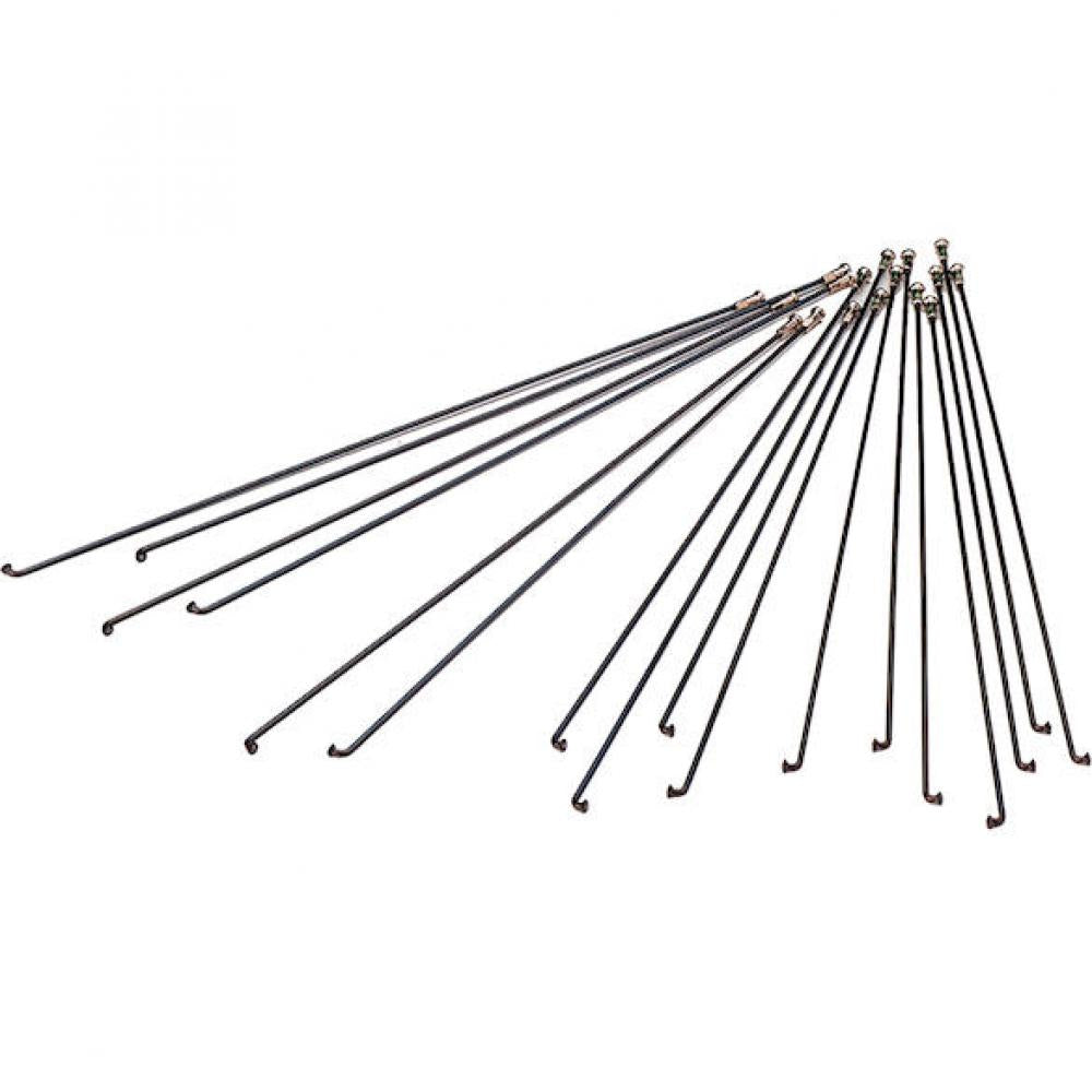 DT Swiss Speiche Champion 2.0 VE500 276 mm schwarz - robuste Allround-Fahrradspeiche
