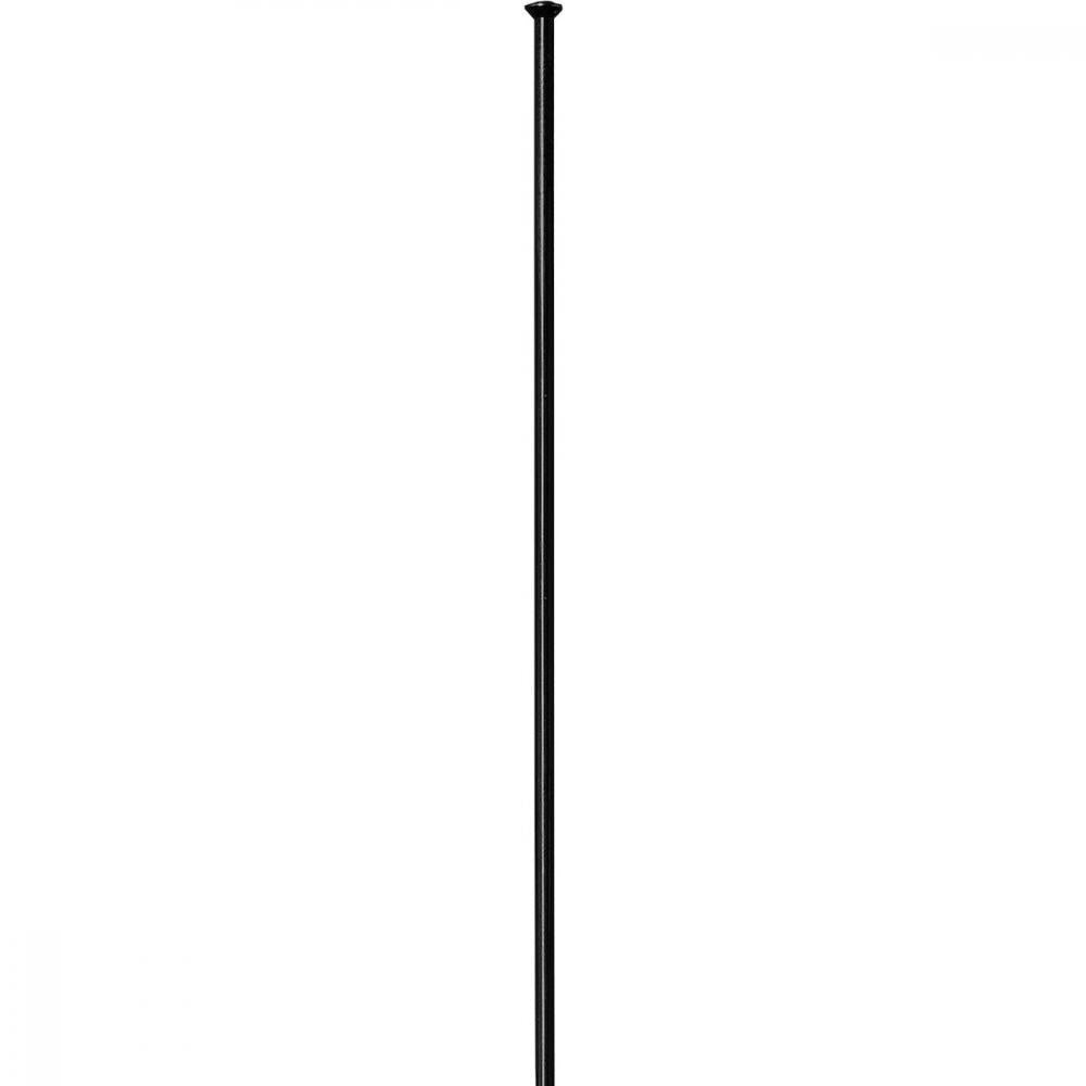 DT Swiss Speiche Competition 2.0 / 1.8 282 mm schwarz Straightpull - robust & leicht