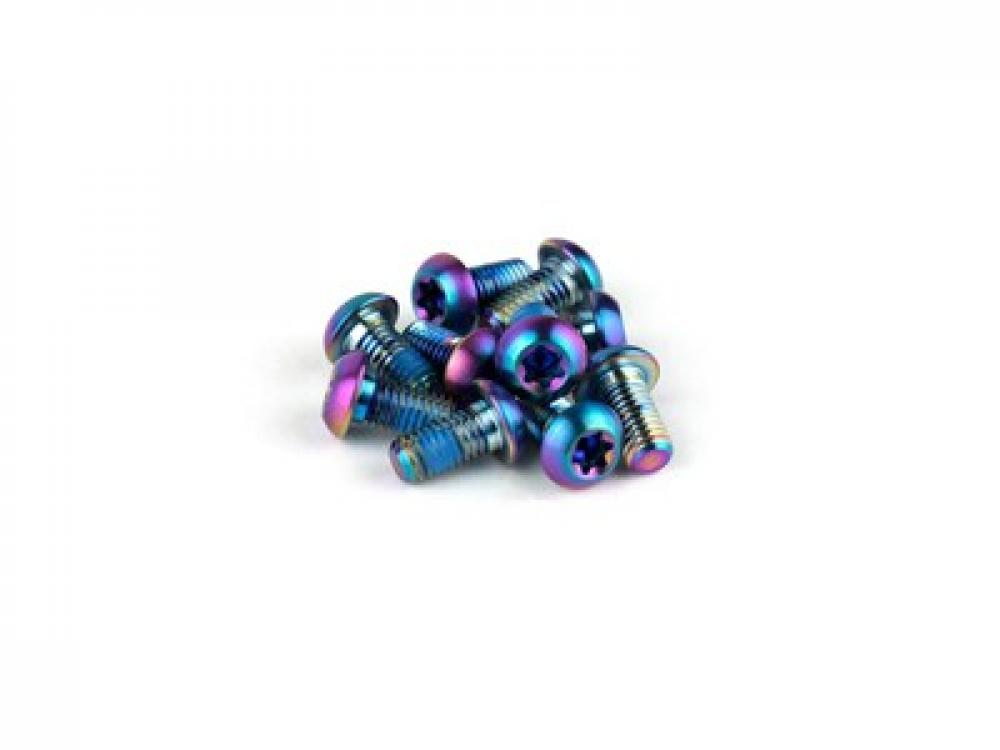 SRAM Befestigungsschraube Rotor rainbow T25 Titan 12 Stück - Leichte & sichere Scheibenmontage