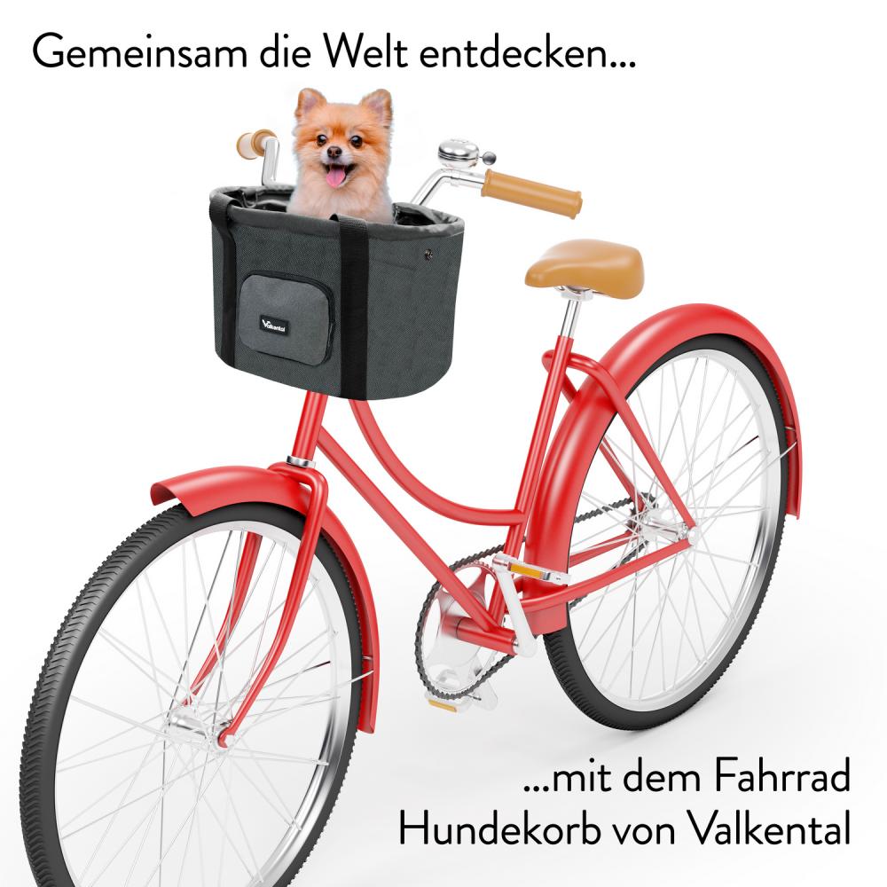 Valkental Fahrradkorb für Hunde klein mit Fenster grau