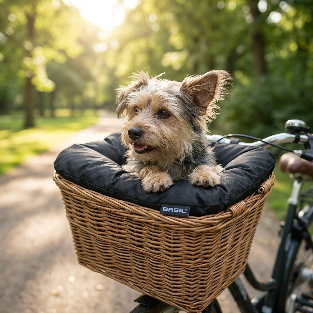 Basil Buddy Kissen schwarz im Hundefahrradkorb mit Hund. Gepolstert, wasserabweisend, bequem für unterwegs.