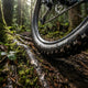 Schwalbe Faltreifen HANS DAMPF 27.5x2.35 ETRTO 60-584 ADDIX Performance Performance Line TLR E-25 HS491