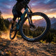 Race Face Era SL Carbon Laufrad VR, 29", 110x15mm, 6-Loch, schwarz - leichtes Enduro-Frontwheel