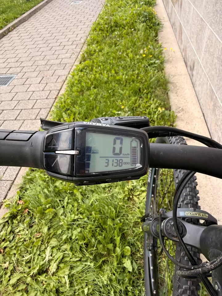 R RAYMON HardRay E 2.0 – E-Mountainbike Hardtail (Modelljahr 2022, Größe XL, black / armor matt)