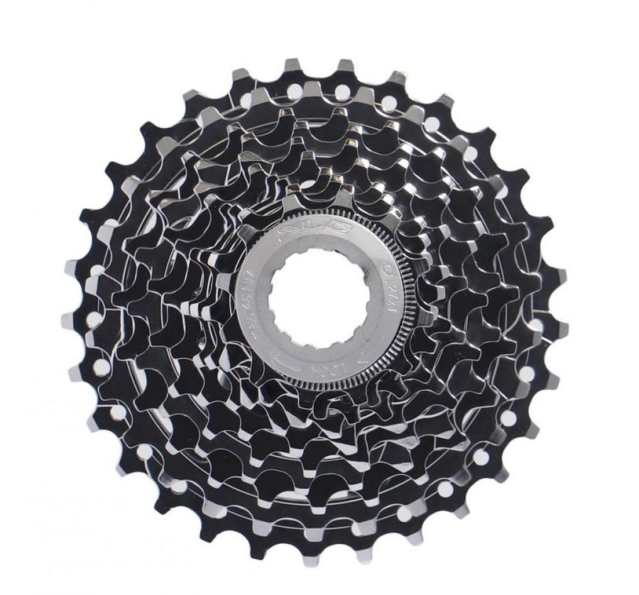 XLC 10-fach Zahnkranz-Kassette 13-28Z für Campagnolo, Fahrrad Kassette in Silber-Schwarz.