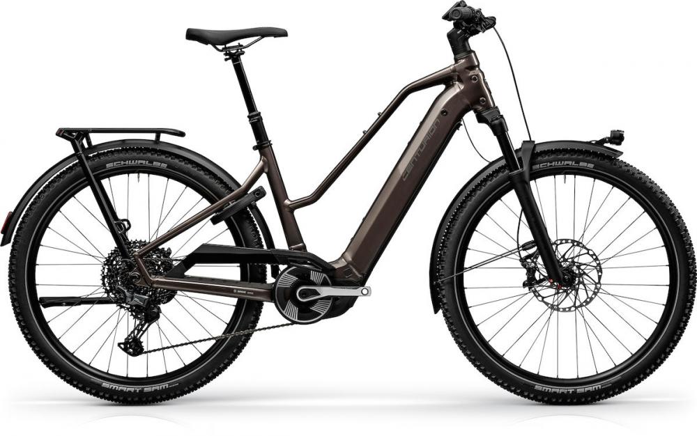 Centurion Country R2000 T EP2 Kohlegrau XL / (52) Anthrazit - komfortables E-Trekkingrad