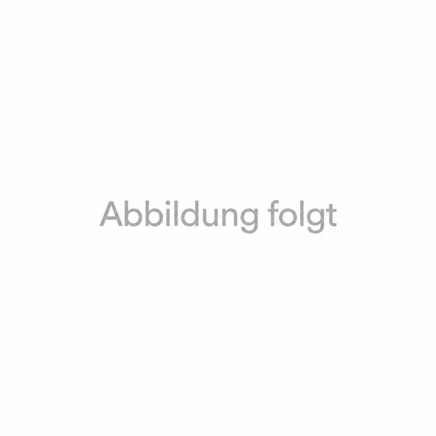 Campagnolo Befestigungsschraube 8mm für Befestigung 6 Loch-Rotor X20