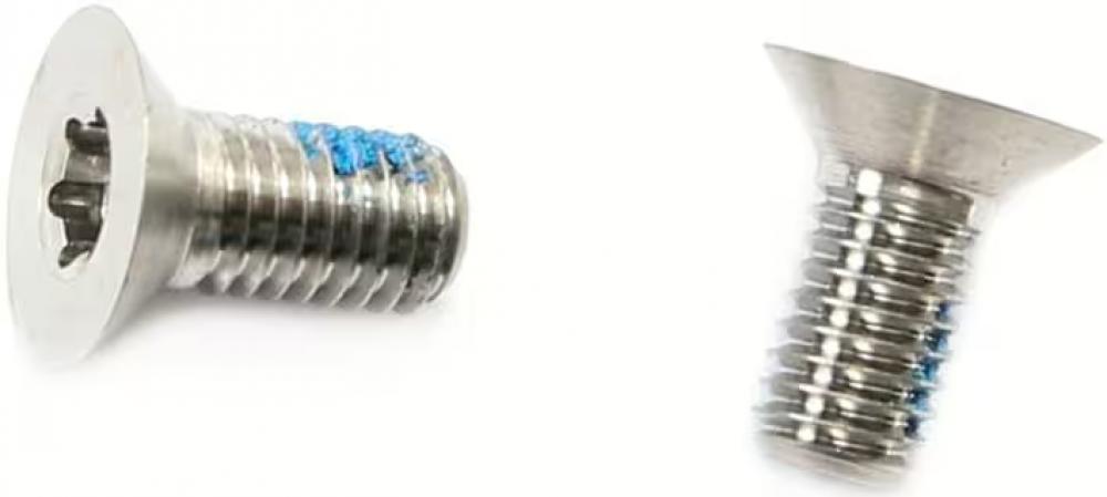 SRAM Schrauben für Flat Mount Bremssattel Titanium / 5 mm - Leicht und korrosionsbeständig