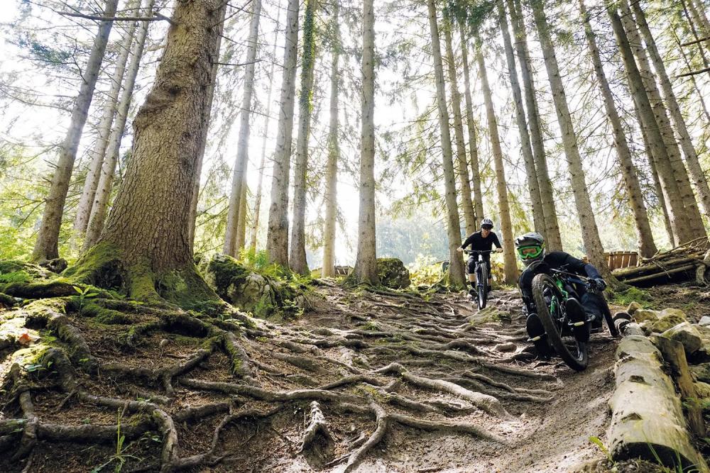 ERGOWAVE Sattel SQlab Sattel 611 ERGOWAVE® active 2.1 ltd. Wings for Life 13cm