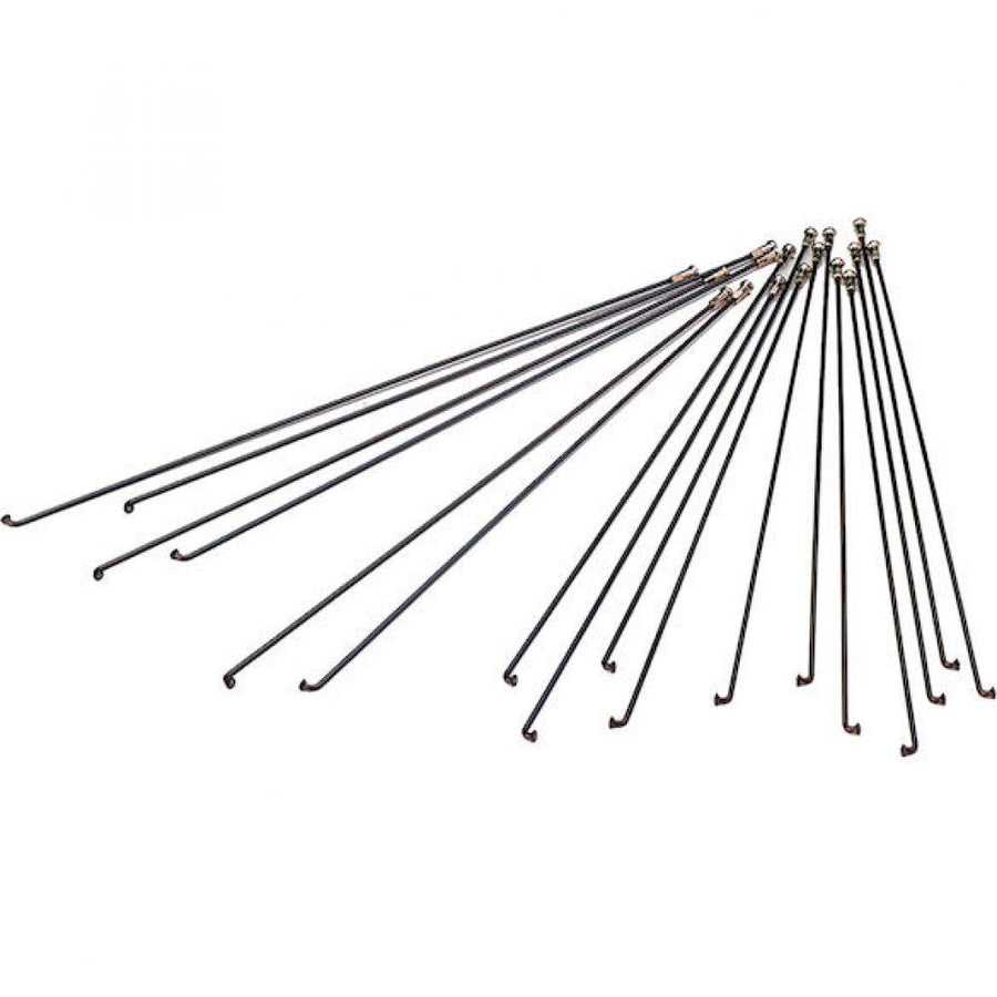 DT Swiss Speiche Champion 2.0 VE500 274 mm schwarz - robuste Laufrad-Speiche für Straße & MTB