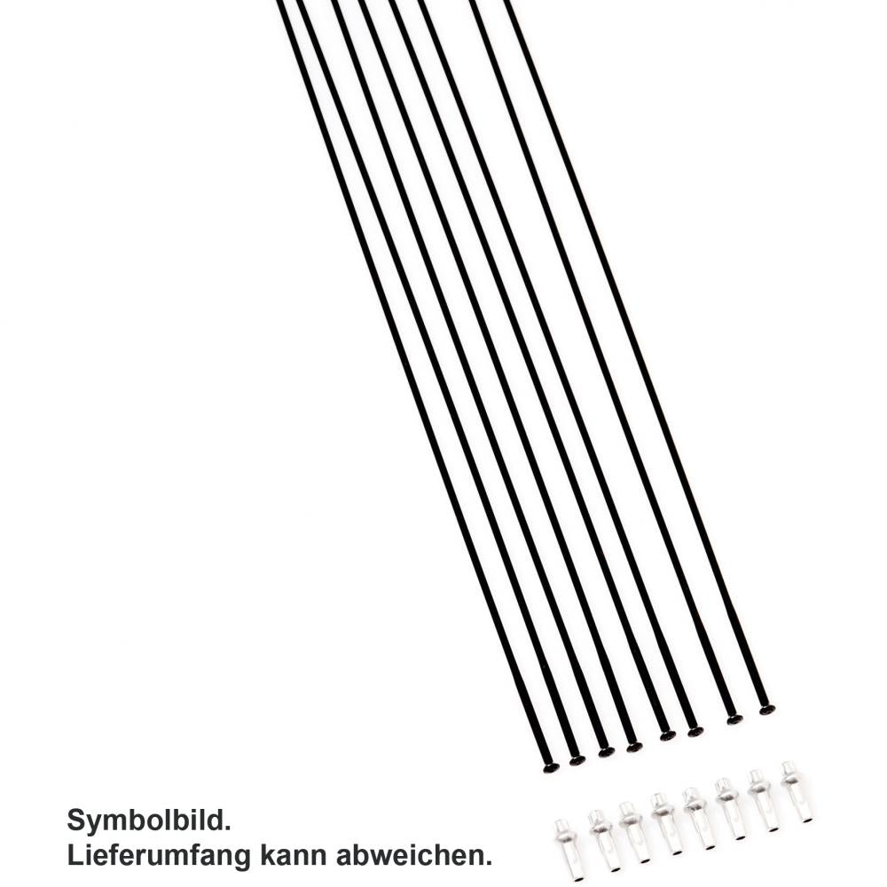 DT Swiss Speichenkit für GRC 1400 DICUT 700C Schwarz - zeitgemäße Lösung für Laufradreparatur