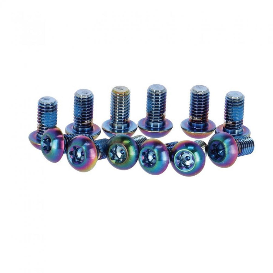 SRAM Befestigungsschraube Rotor rainbow Titan T25, 12 Stück - Leichte Performance-Montage