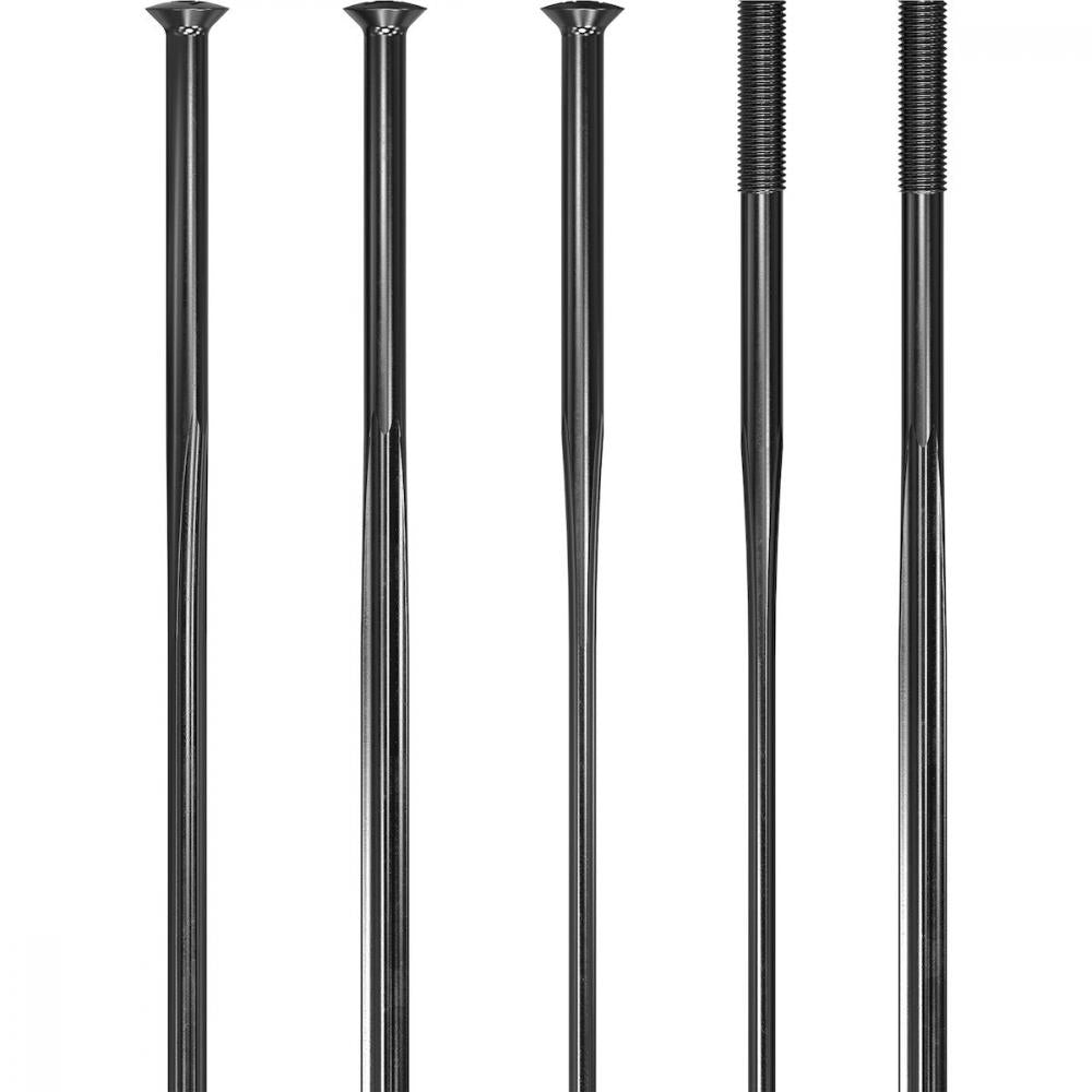 DT Swiss Speiche Revolite Straightpull 2.0/2.3/1.3 278 mm Schwarz - leicht & langlebig