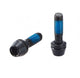 Ritchey WCS Chicane Vorbaulenkerkappe 31.8mm 2 Schrauben blatte