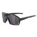 Alpina Sonnenbrille Bonfire Rahmen schwarz matt Glas schwarz Kat.3